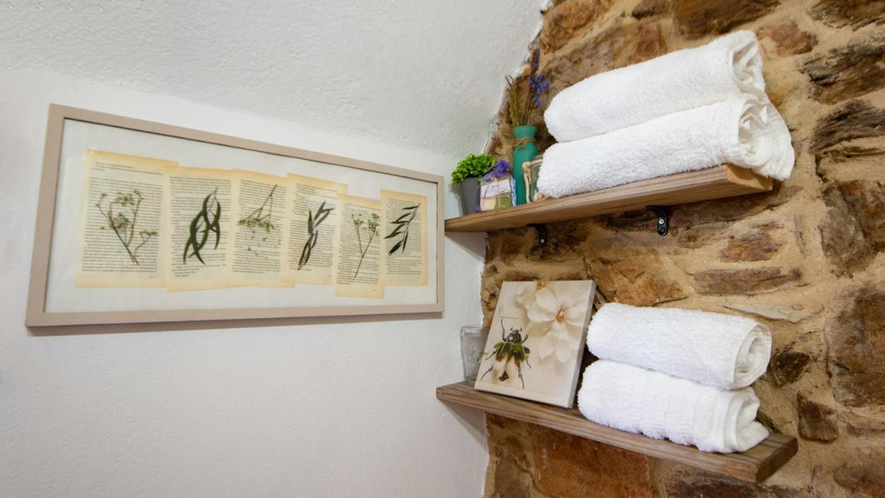 Apartamento Duplex Rural Con Chimenea Y Vistas Panoramicas Desde La Cama Sant Marti Sacalm Eksteriør billede